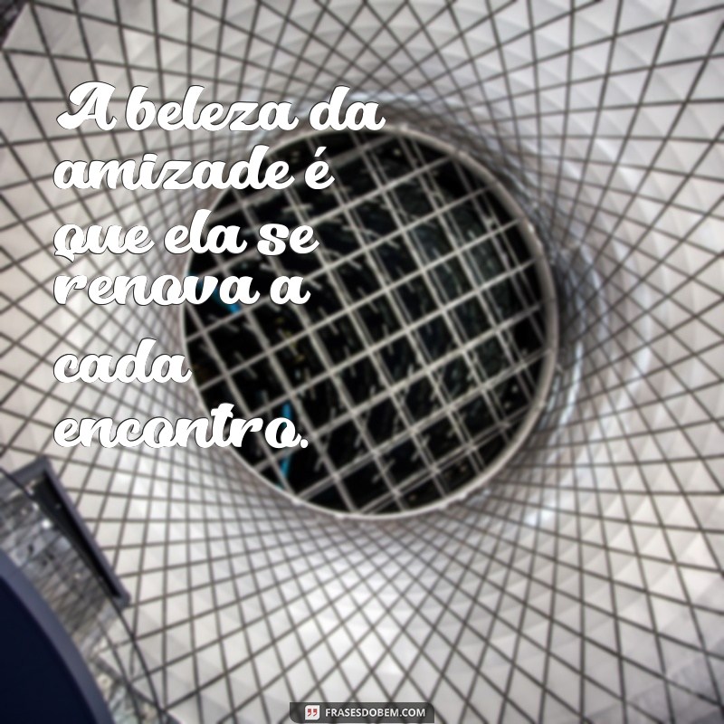 Frases Inspiradoras para Celebrar Amizades Especiais 