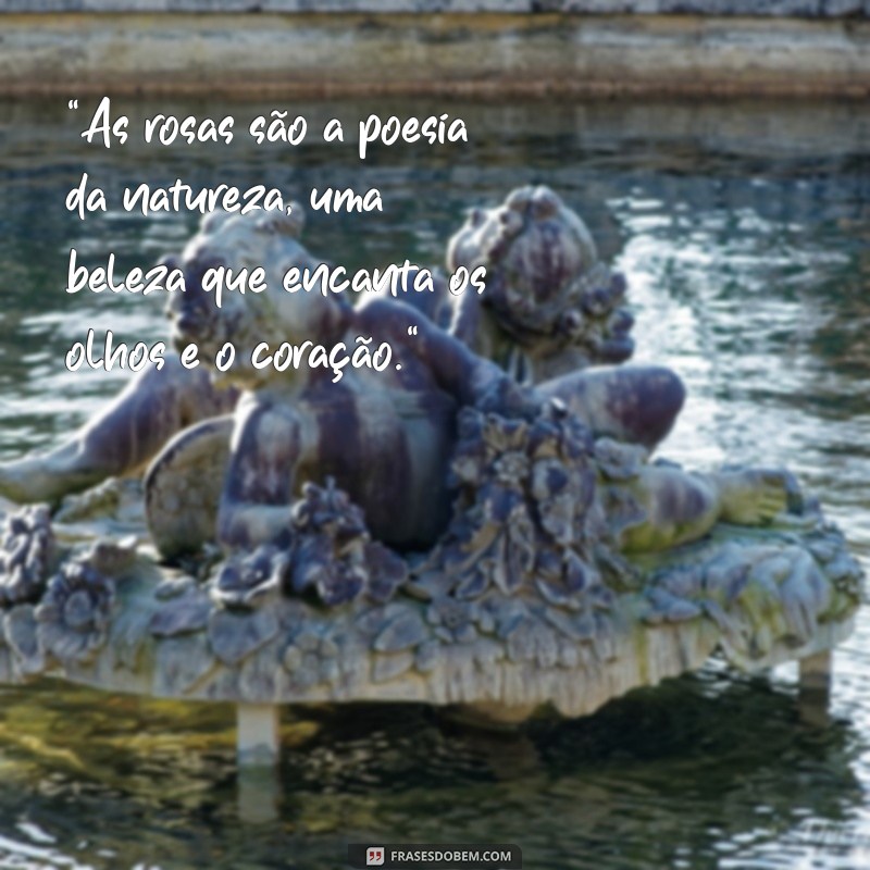 frases sobre rosas 