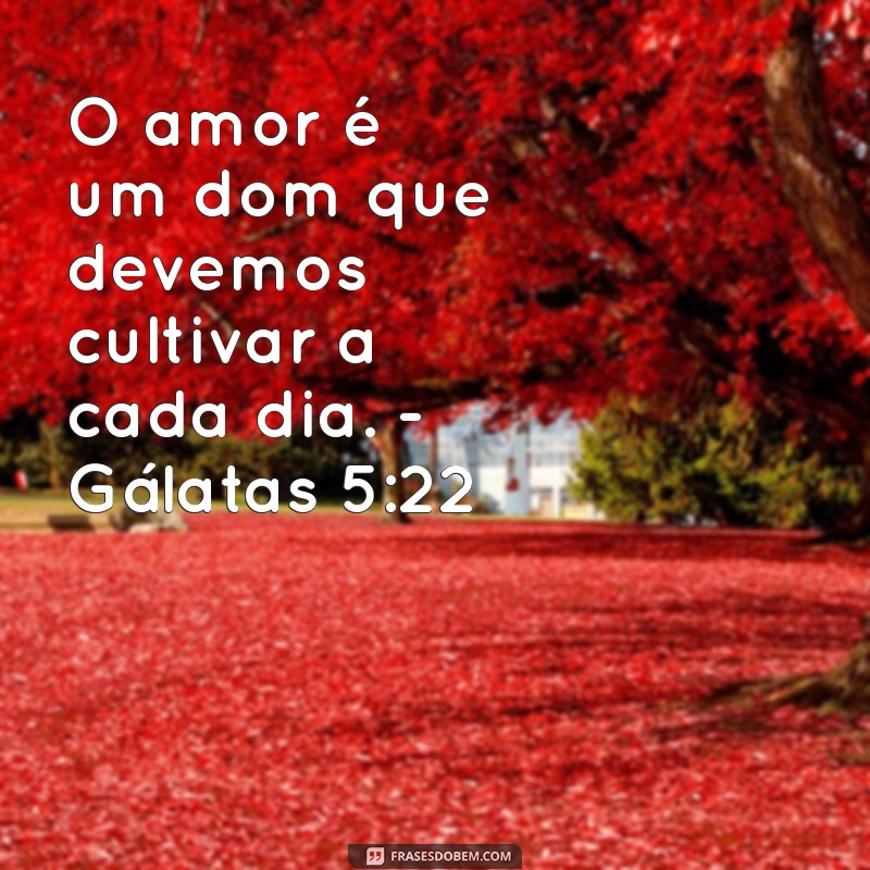 Frases Bíblicas Inspiradoras sobre o Amor entre Casais 