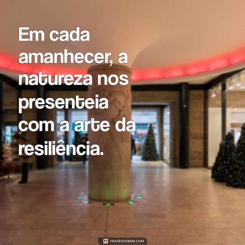 Frases Inspiradoras para Apreciar a Beleza das Paisagens 