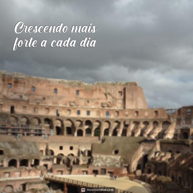 Frases Inspiradoras para Legendar Suas Fotos na Academia 