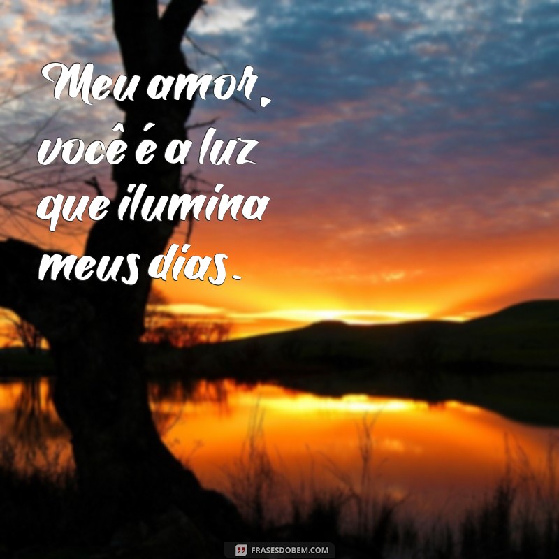 frases de meu amor Meu amor, você é a luz que ilumina meus dias.