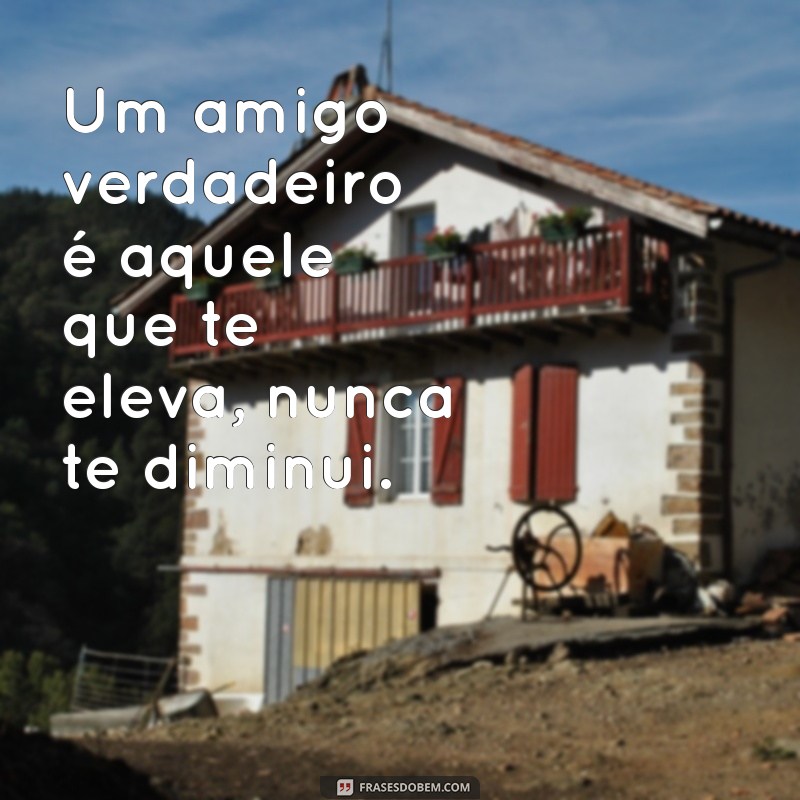 As Melhores Frases sobre Amigos Verdadeiros para Celebrar a Amizade 