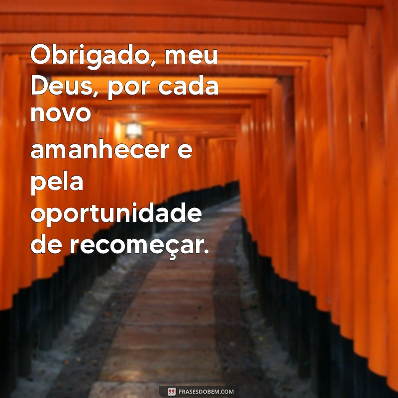 frases obrigado meu deus Obrigado, meu Deus, por cada novo amanhecer e pela oportunidade de recomeçar.