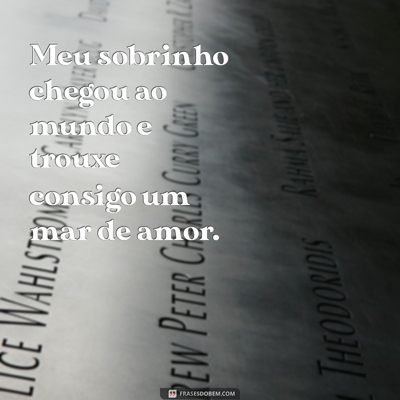 Celebrando a Chegada do Meu Sobrinho: Dicas para Receber o Novo Membro da Família 