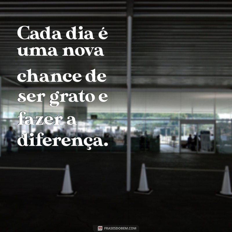 Frases Inspiradoras de Pessoas Bem Resolvidas para Transformar sua Vida 