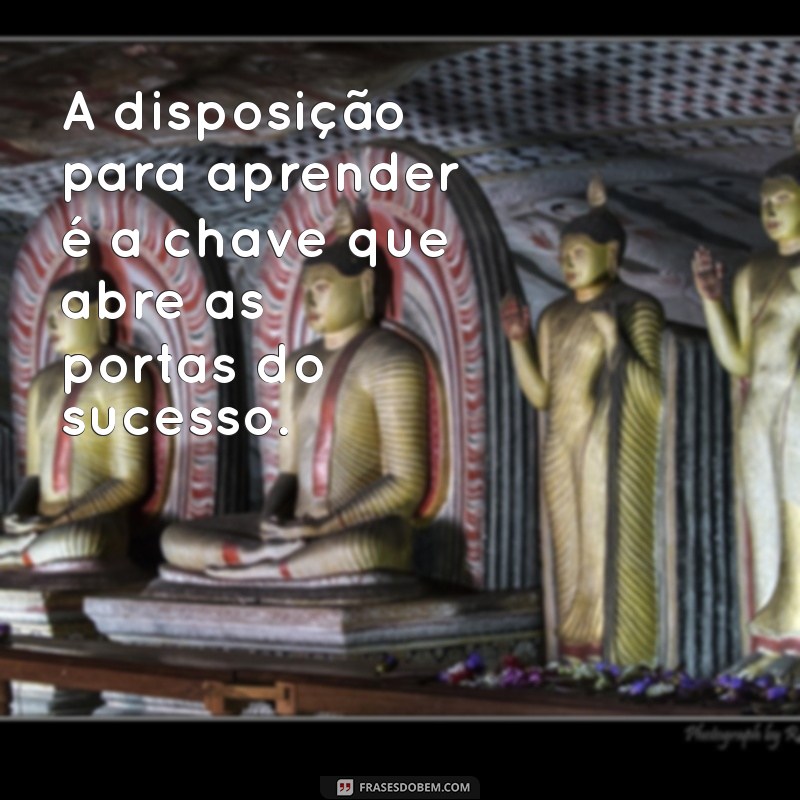 diposição A disposição para aprender é a chave que abre as portas do sucesso.