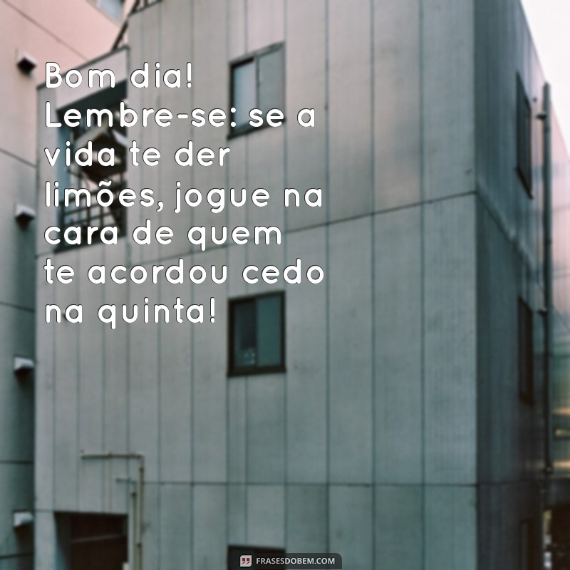 26 Frases Engraçadas para Começar Sua Quinta-Feira com um Sorriso 