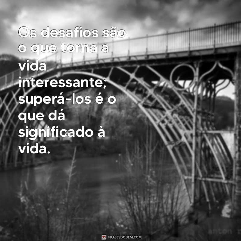 Top 20 Frases Inspiradoras de Livros Motivacionais para Transformar sua Vida 