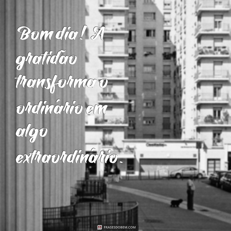 Frases Inspiradoras de Bom Dia para Expressar Gratidão 