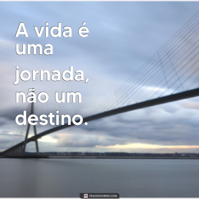 As 220 Frases Perfeitas para Inspirar e Motivar Seu Dia 