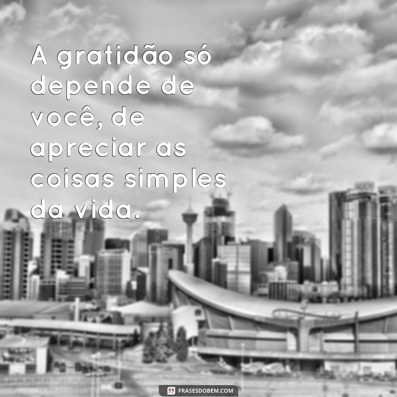 Descubra o poder das frases motivacionais: só depende de você! 