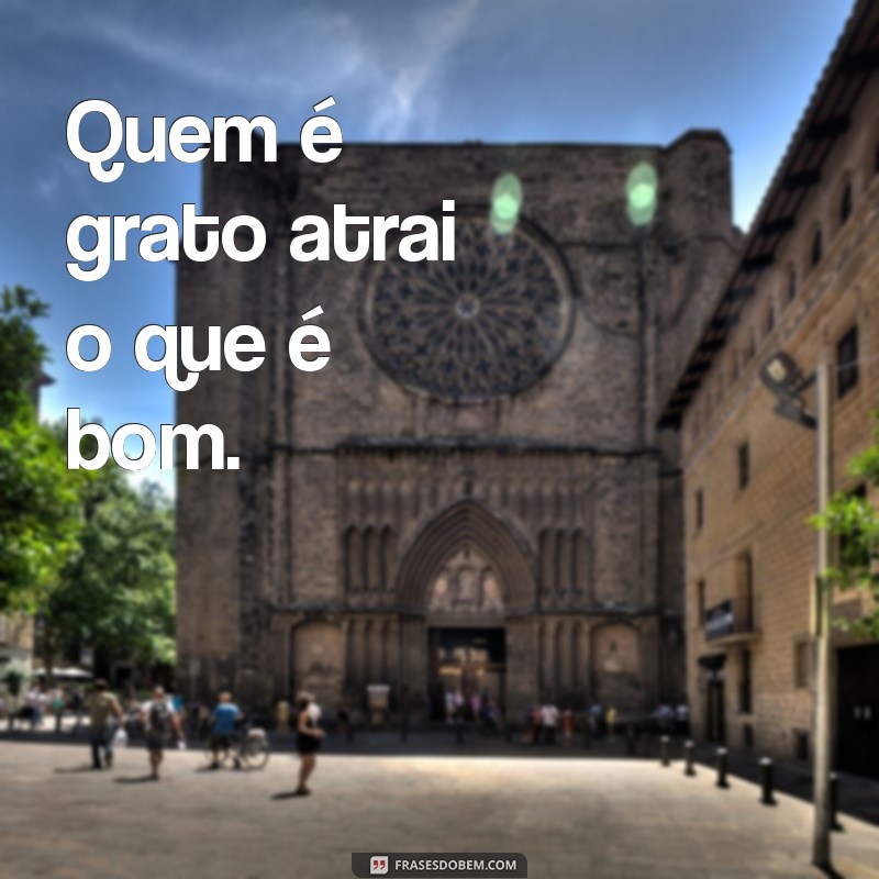 10 Provérbios Inspiradores sobre Gratidão para Transformar sua Perspectiva 