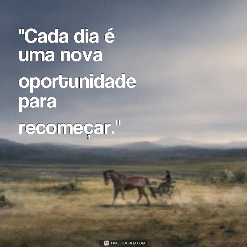 frases de vida nova para status 