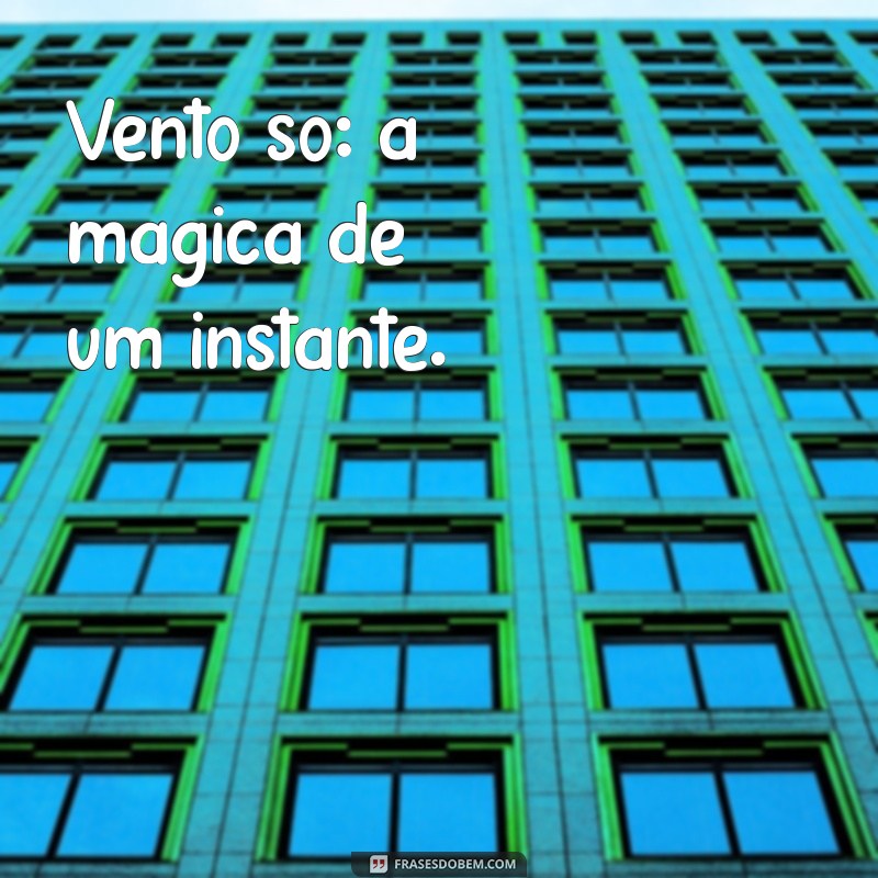 Descubra a Magia do Vento: Reflexões e Frases Inspiradoras 