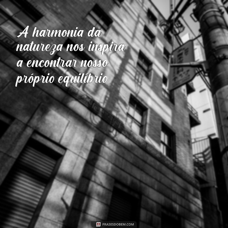 Frases Inspiradoras para Celebrar a Beleza da Natureza 