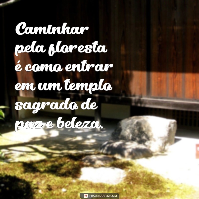 Frases Inspiradoras para Celebrar a Beleza da Natureza 