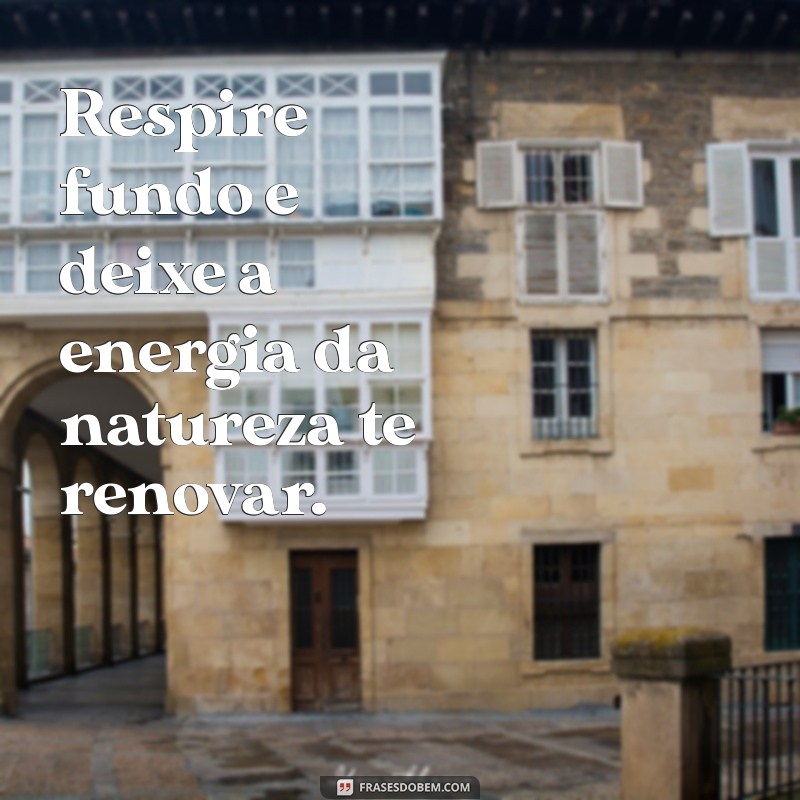 Frases Inspiradoras para Celebrar a Beleza da Natureza 