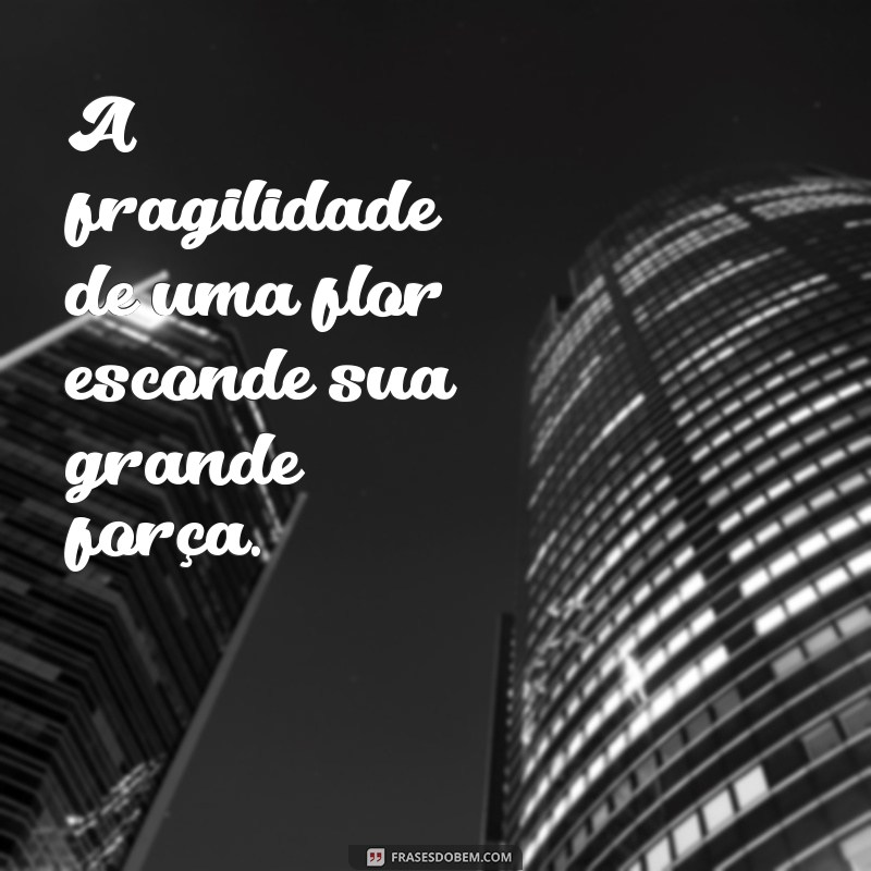 Frases Inspiradoras sobre Florescer: Renove sua Alma e Espalhe Beleza 