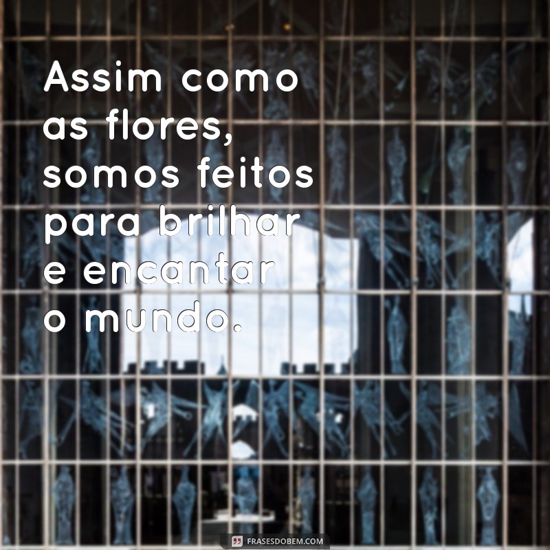 Frases Inspiradoras sobre Florescer: Renove sua Alma e Espalhe Beleza 