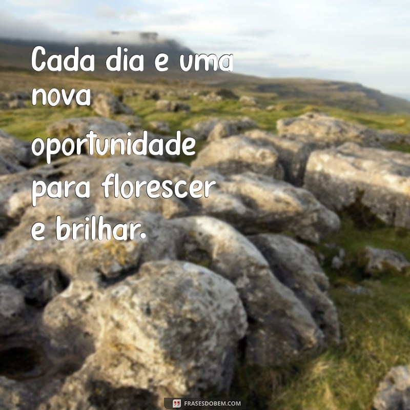 Frases Inspiradoras sobre Florescer: Renove sua Alma e Espalhe Beleza 