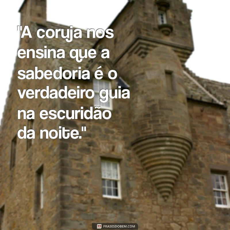 frases sobre coruja 