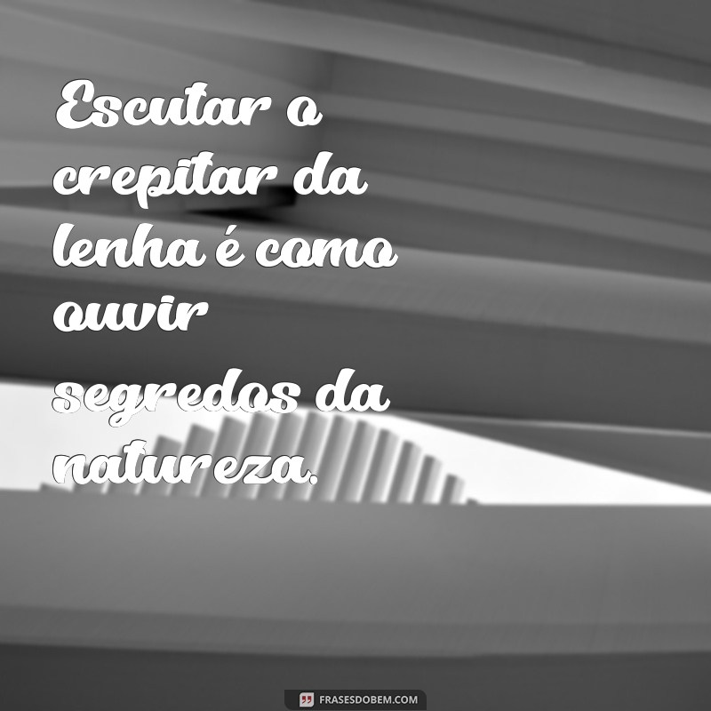 Frases Inspiradoras sobre Fogueira: Luz, Calor e Reflexões 