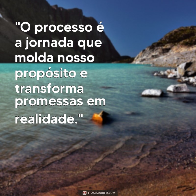 processo propósito e promessa frases 