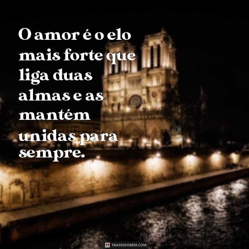 Descubra as mais belas frases sobre o amor e se encante! 