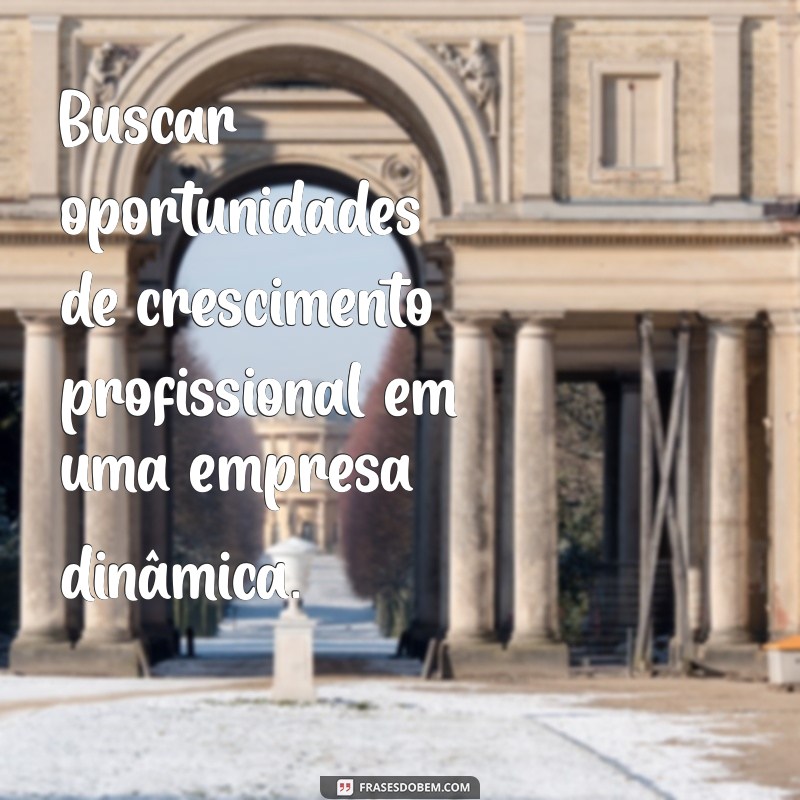 oq colocar no objetivo do curriculo Buscar oportunidades de crescimento profissional em uma empresa dinâmica.