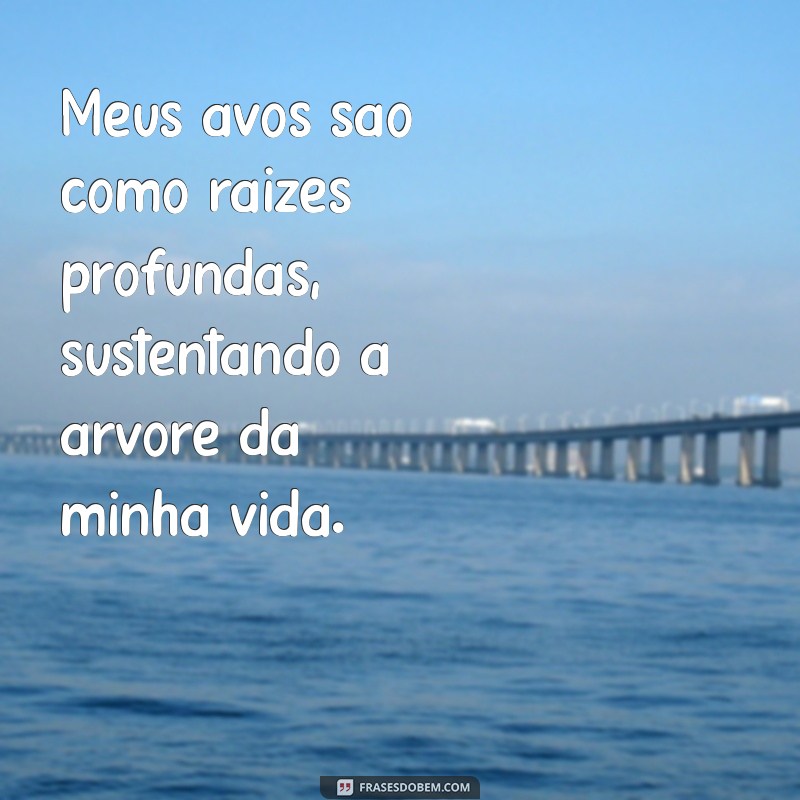 meus avós Meus avós são como raízes profundas, sustentando a árvore da minha vida.