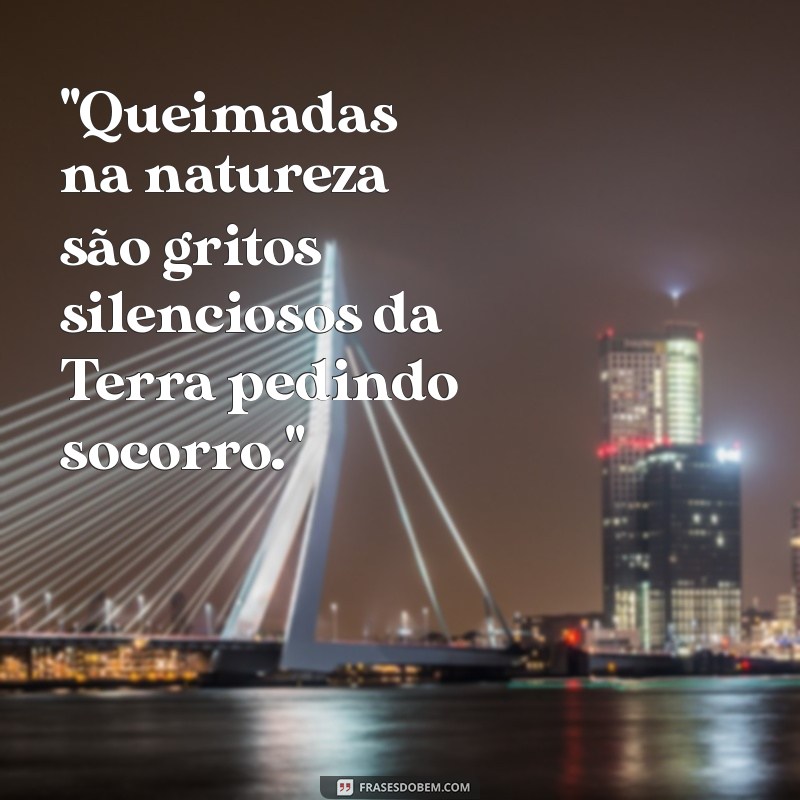 frases sobre queimadas na natureza 