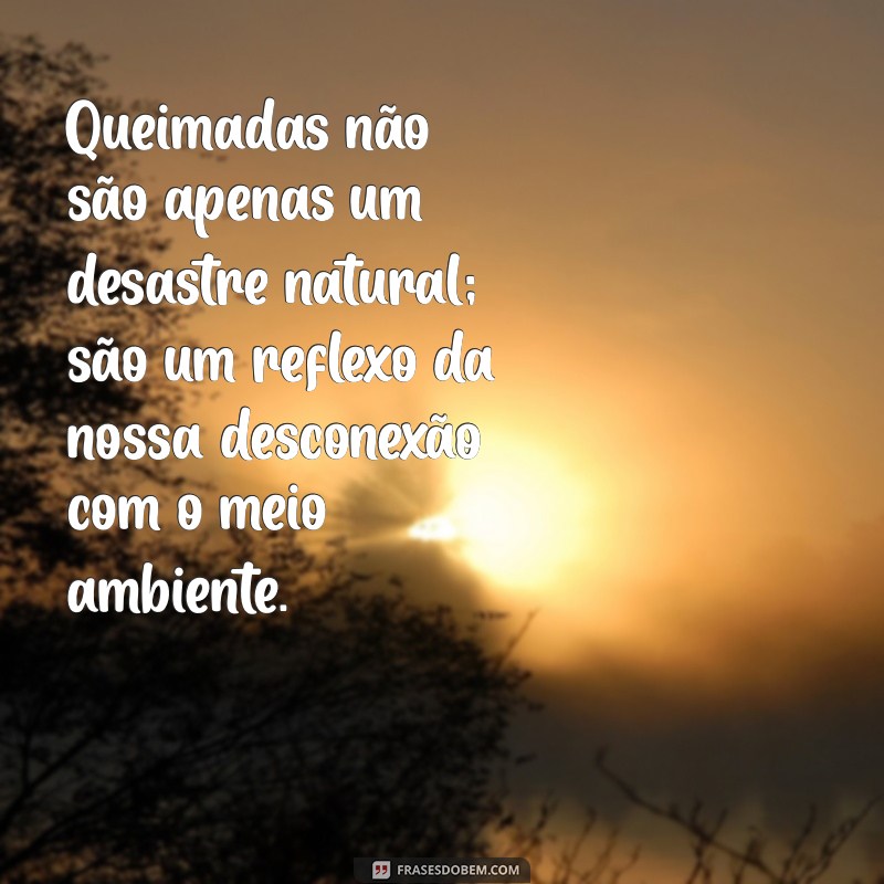 Frases Impactantes sobre Queimadas na Natureza: Conscientização e Reflexão 