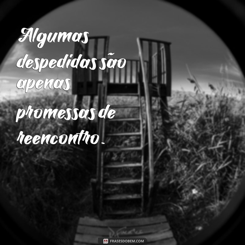 Frases de Despedida: Mensagens Tocantes para Momentos de Separação 