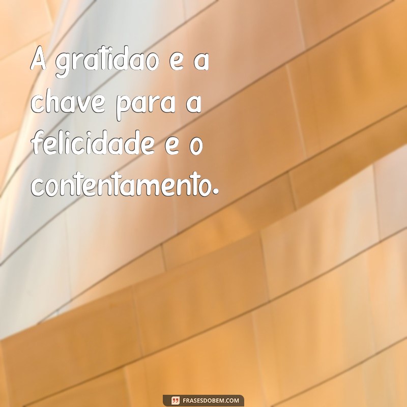 Descubra as melhores frases de princípios para viver uma vida plena e inspiradora 