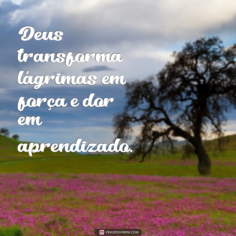 Frases Motivacionais Inspiradas em Deus para Elevar Seu Espírito 