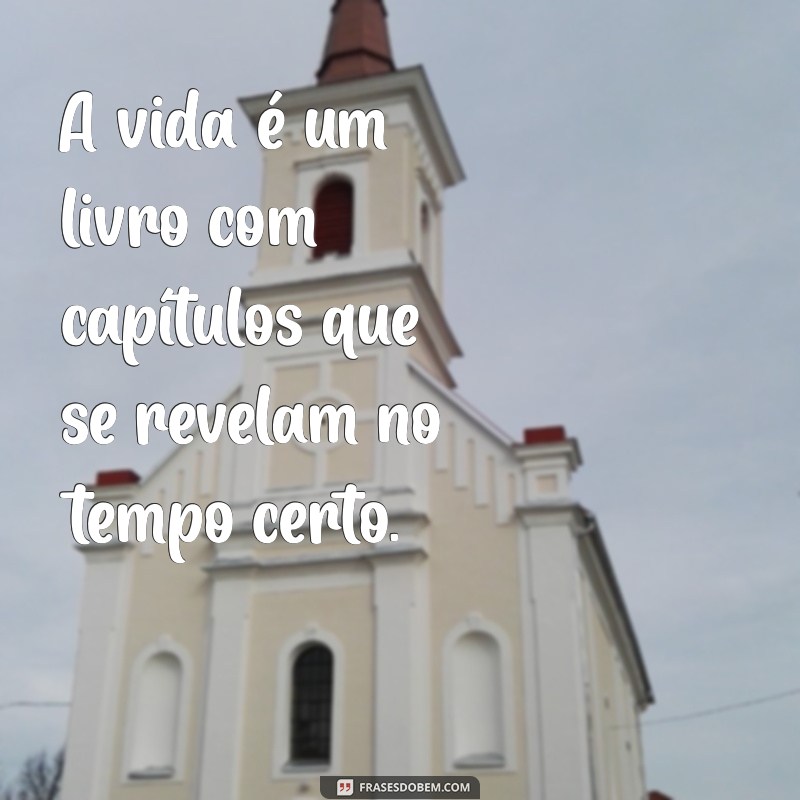 Frases Inspiradoras: Tudo Tem Seu Tempo Certo para Acontecer 