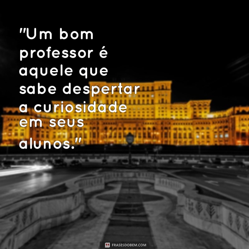 professor frases 