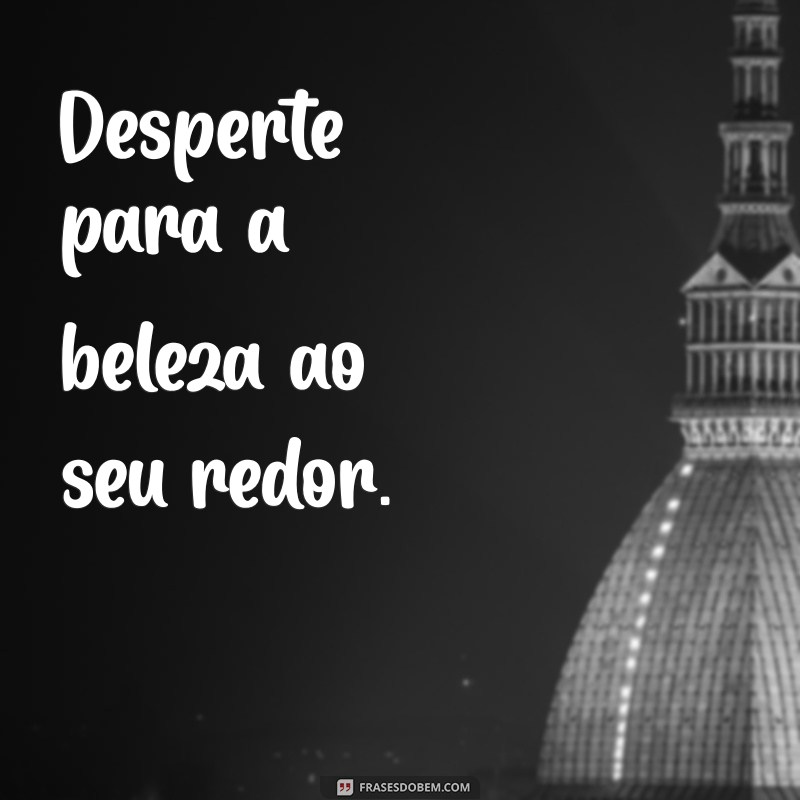 As Melhores Frases para Arrasar nas Suas Fotos do Instagram 