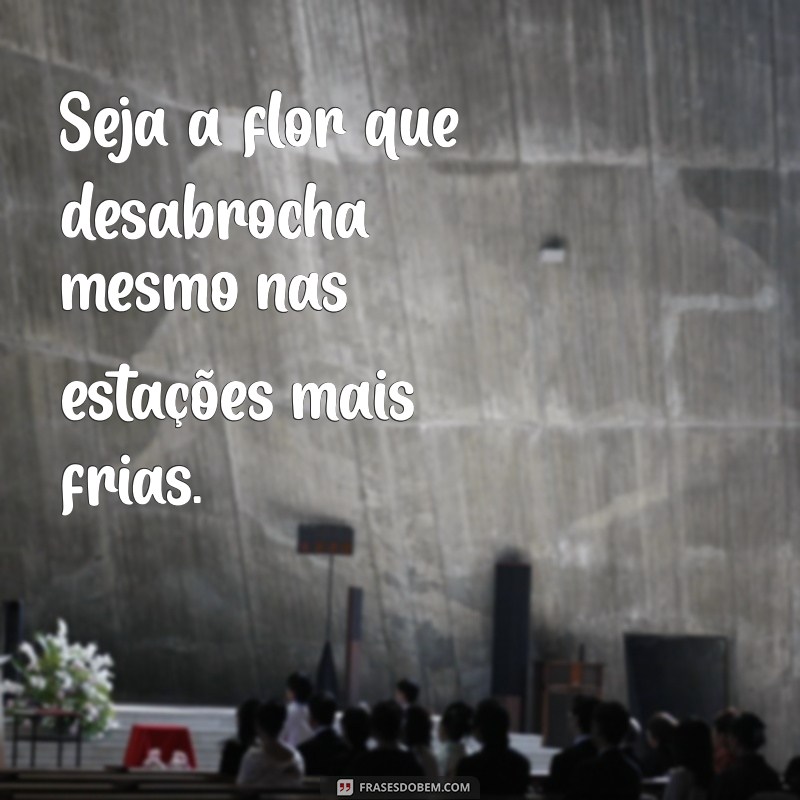 Tempo de Florescer: Versículos Inspiradores para Renovar Sua Fé 