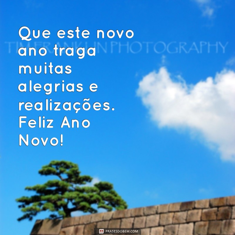 desejo a você um feliz ano novo Que este novo ano traga muitas alegrias e realizações. Feliz Ano Novo!