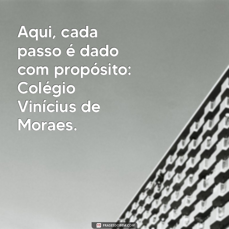 Colégio Vinícius de Moraes: Educação de Qualidade e Formação Integral 