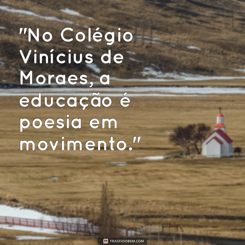 colégio vinícius de moraes 