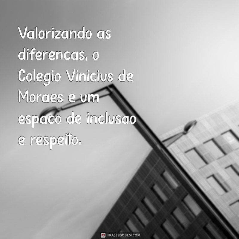 Colégio Vinícius de Moraes: Educação de Qualidade e Formação Integral 