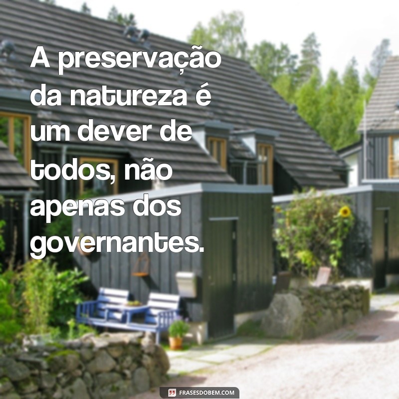 Descubra as mais belas frases sobre a natureza para se inspirar e refletir 