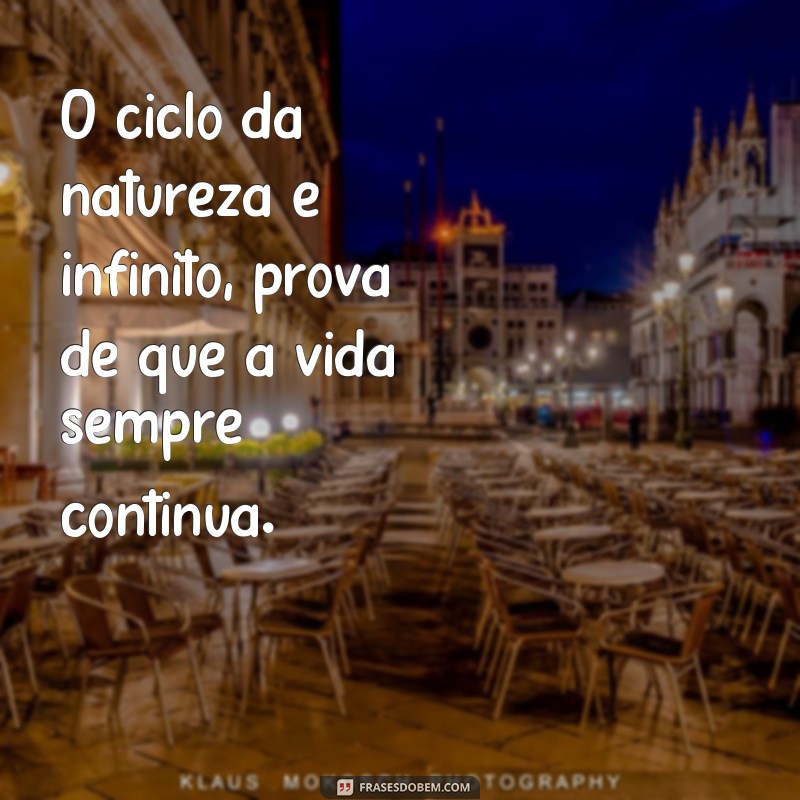 Descubra as mais belas frases sobre a natureza para se inspirar e refletir 