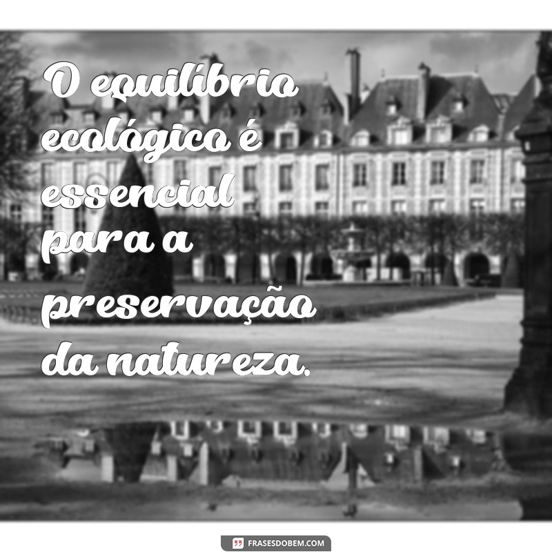 Descubra as mais belas frases sobre a natureza para se inspirar e refletir 