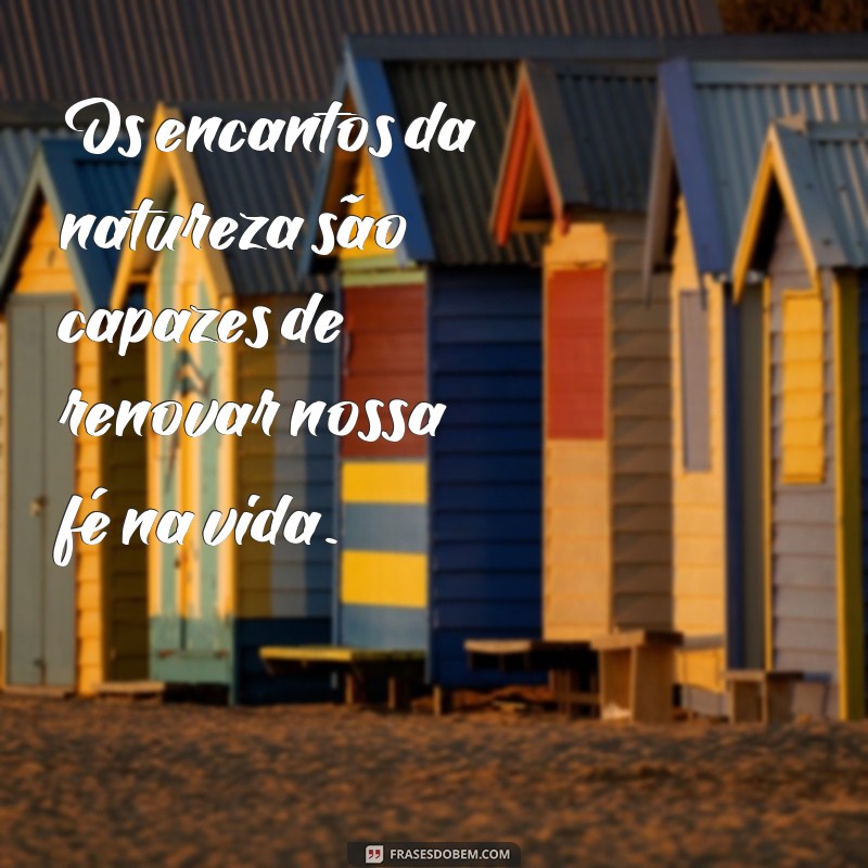 Descubra as mais belas frases sobre a natureza para se inspirar e refletir 