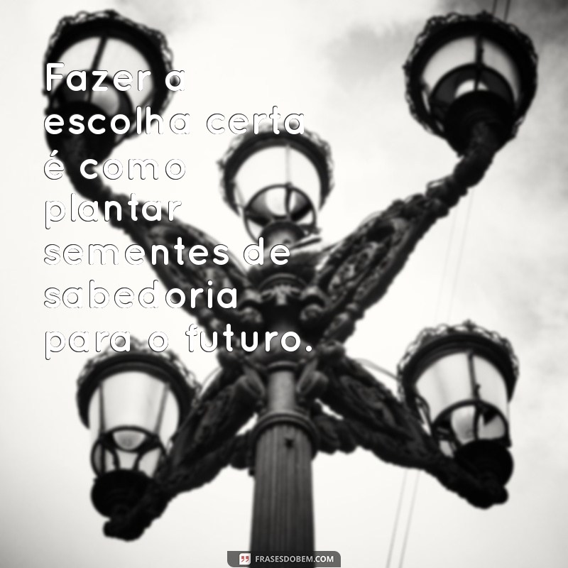 frases sobre escolha certa Fazer a escolha certa é como plantar sementes de sabedoria para o futuro.