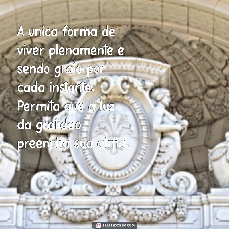 Transforme Sua Vida com Mensagens de Luz e Gratidão 